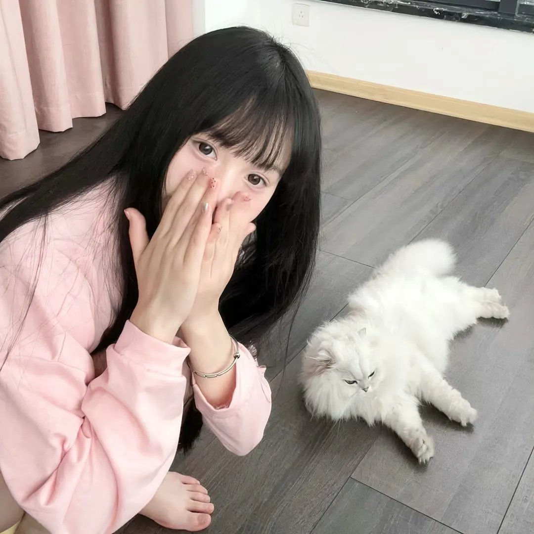 森林的精灵